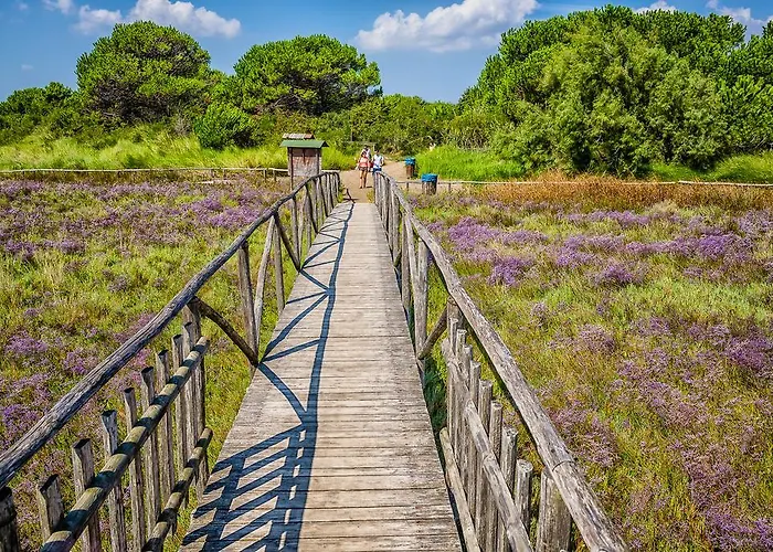 Apartment Caprera Rosolina Mare