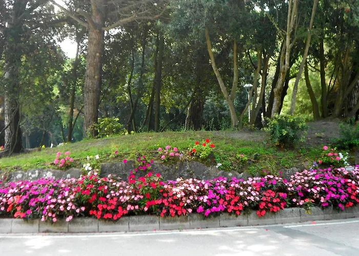 Caprera Rosolina Mare