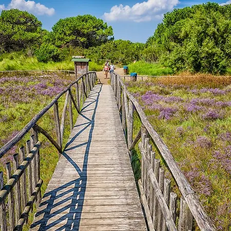 Апартаменты Caprera Розолина-Маре