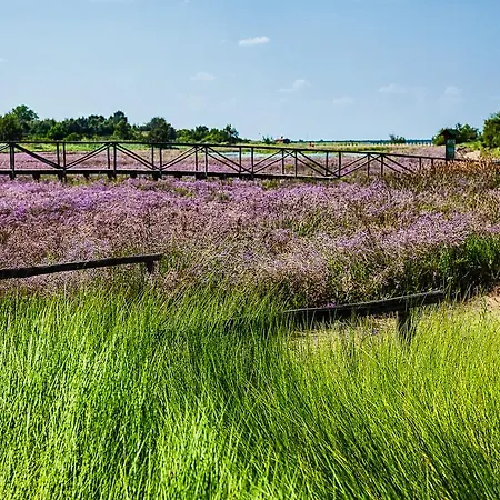 Caprera Розолина-Маре